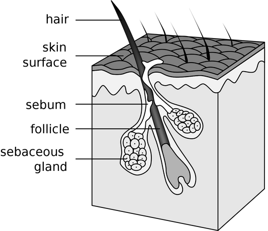 Hair Removal As Self Care