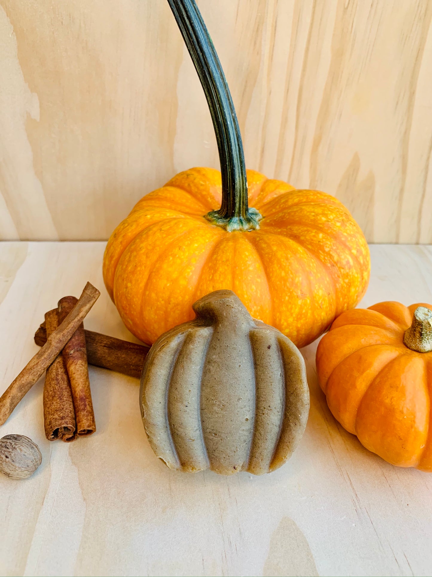 Pumpkin Spice Heads - Body and Hair Soap