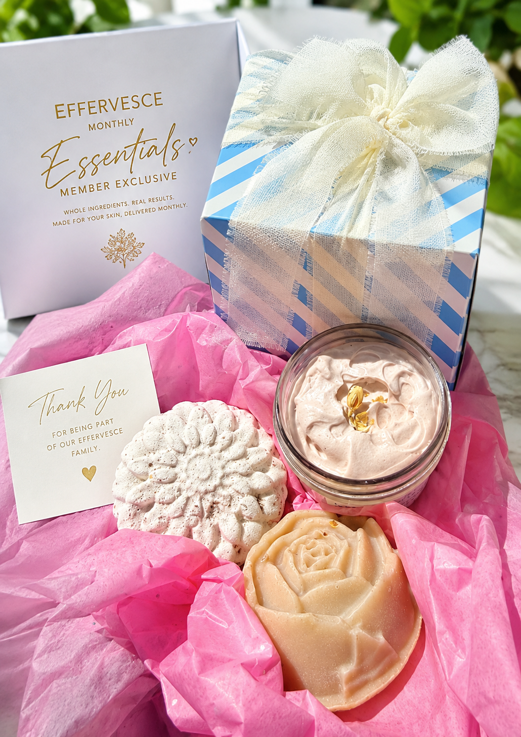 Lap of Luxury Membership | Monthly Wellness Subscription | Effervesce