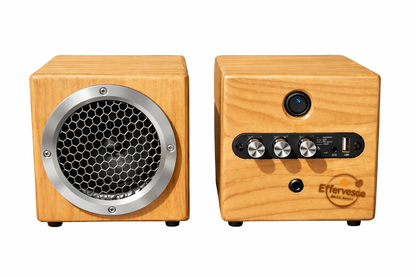 THE BOOM | Custom Wood Bluetooth Speaker | Rechargeable | Surround-Sound Capable