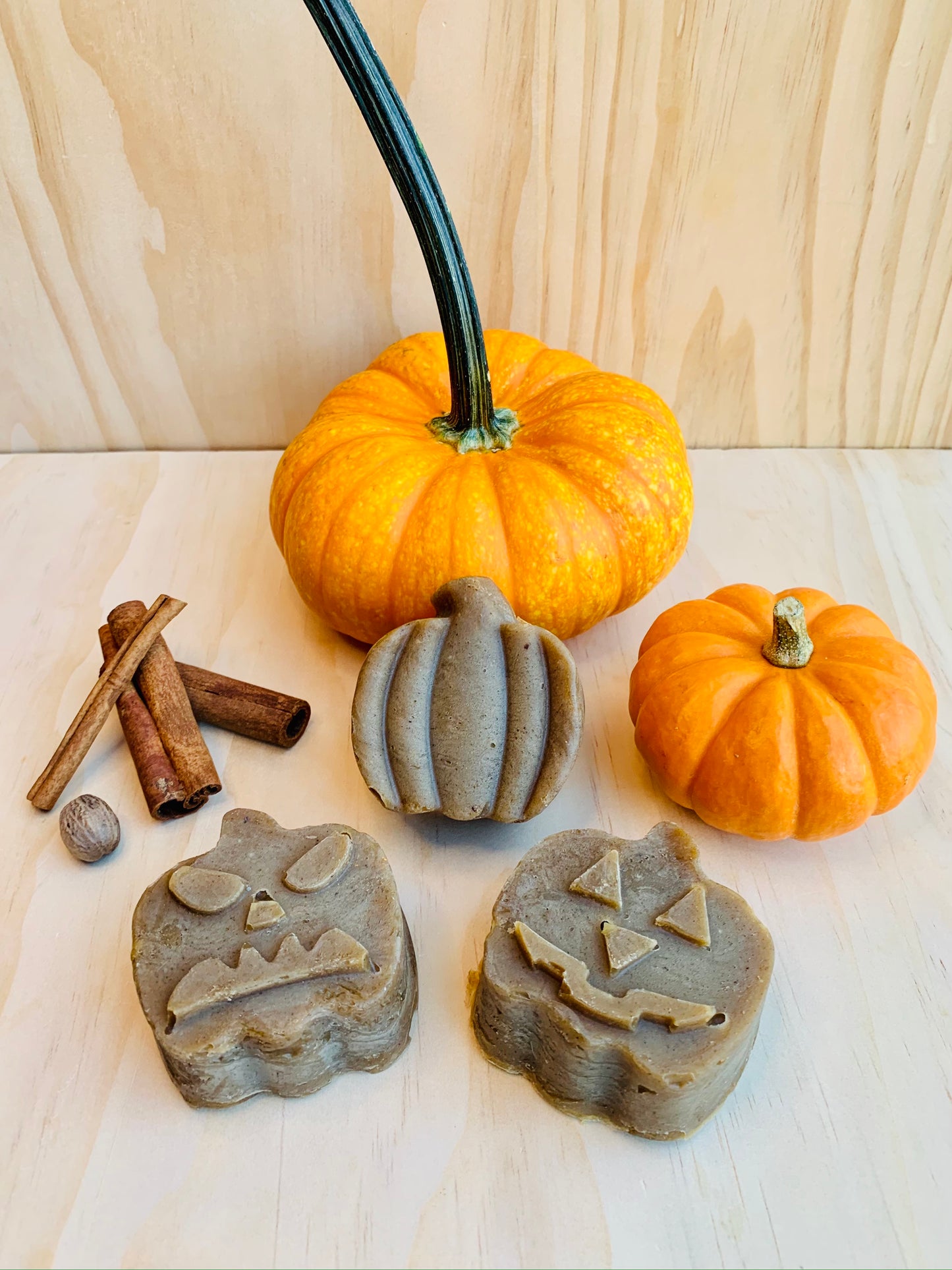 Pumpkin Spice Heads - Body and Hair Soap