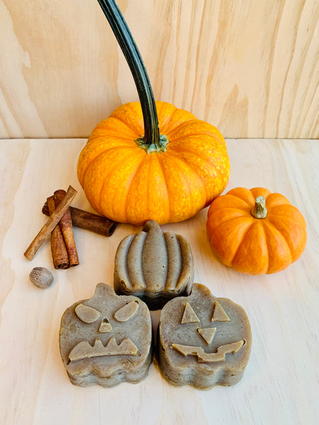 Pumpkin Spice Heads - Body and Hair Soap