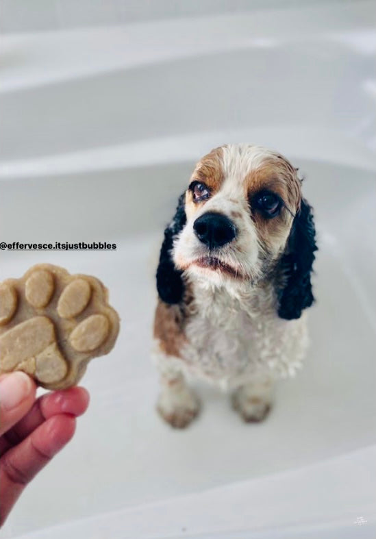 Dog Shampoo - Hemp, Oat, Rosemary