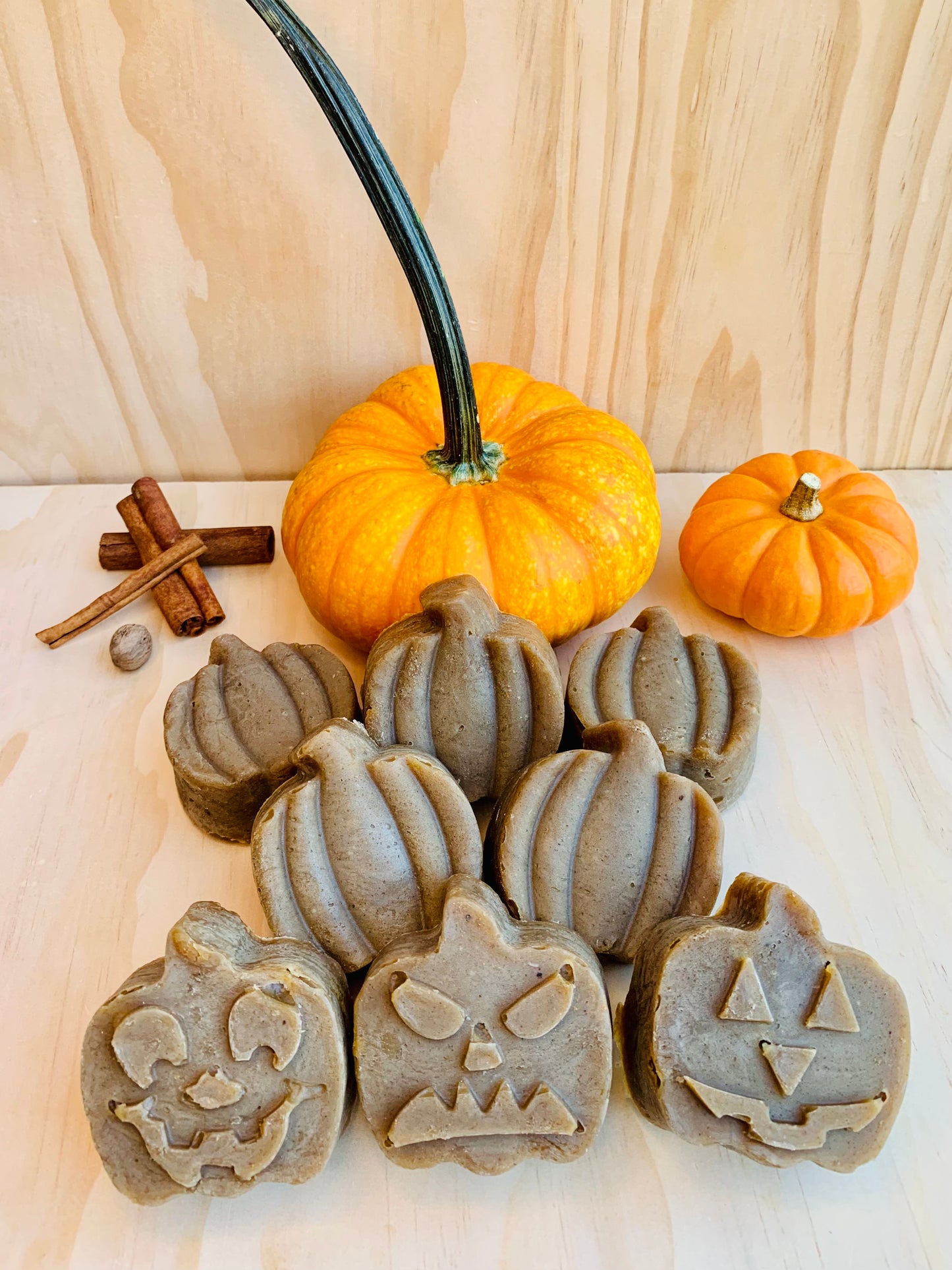 Pumpkin Spice Heads - Body and Hair Soap